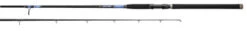 Daiwa Beefstick Surf Rods